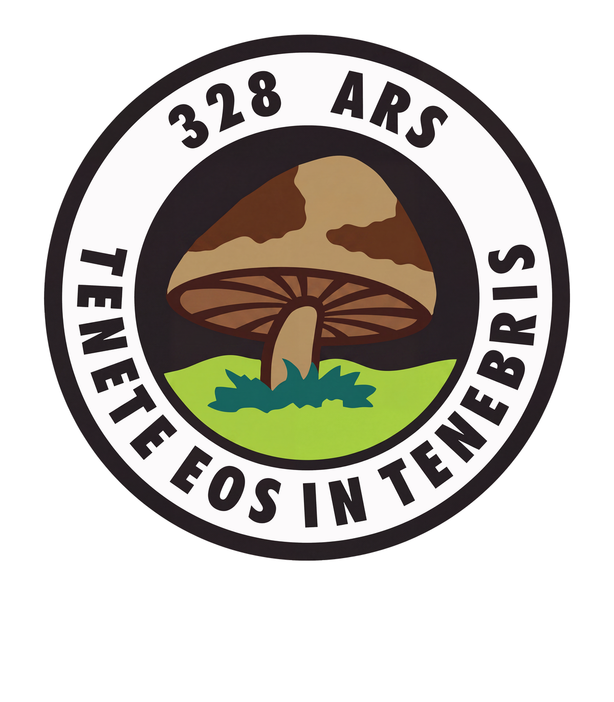328th Air Refueling Squadron