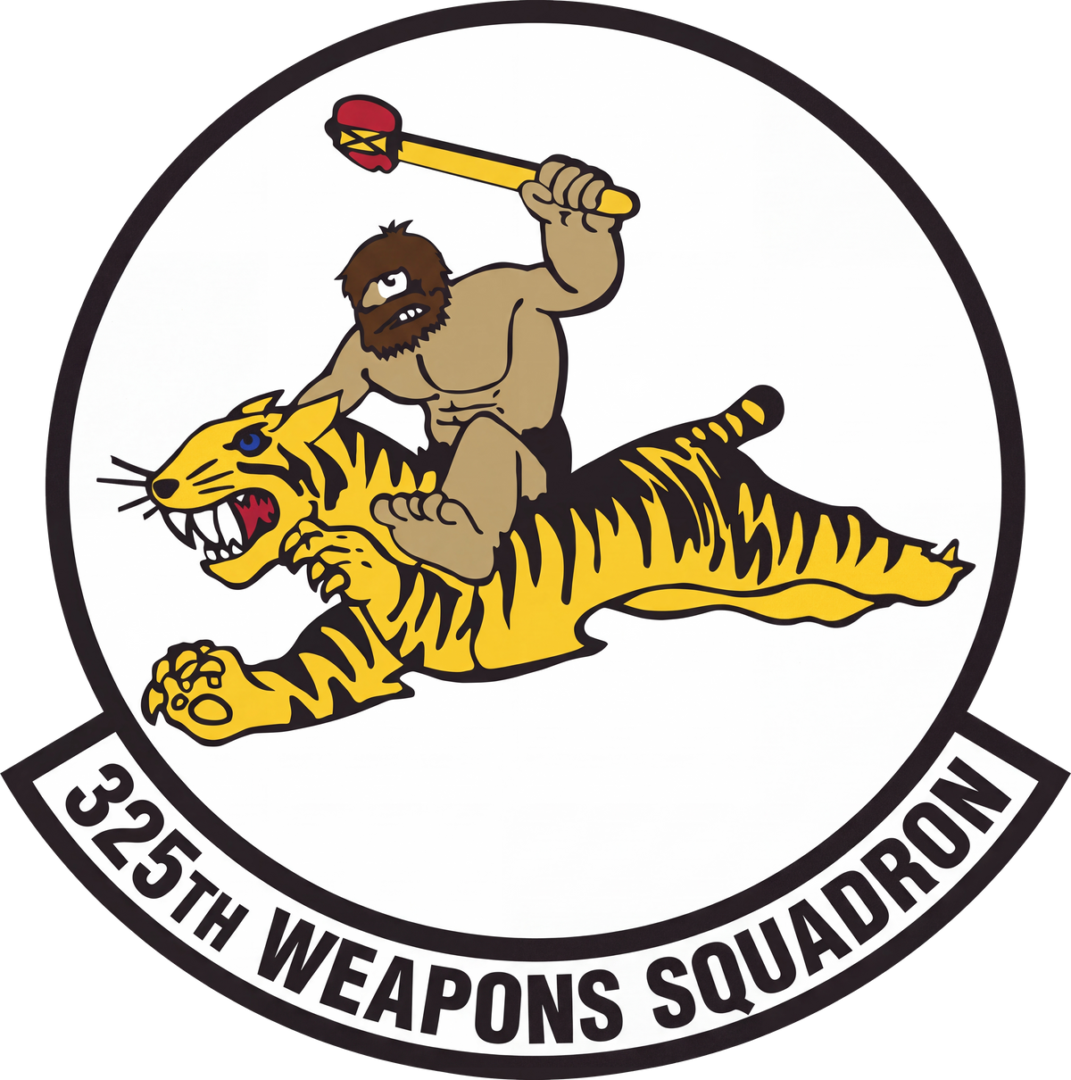 325TH WEAPONS SQUADRON