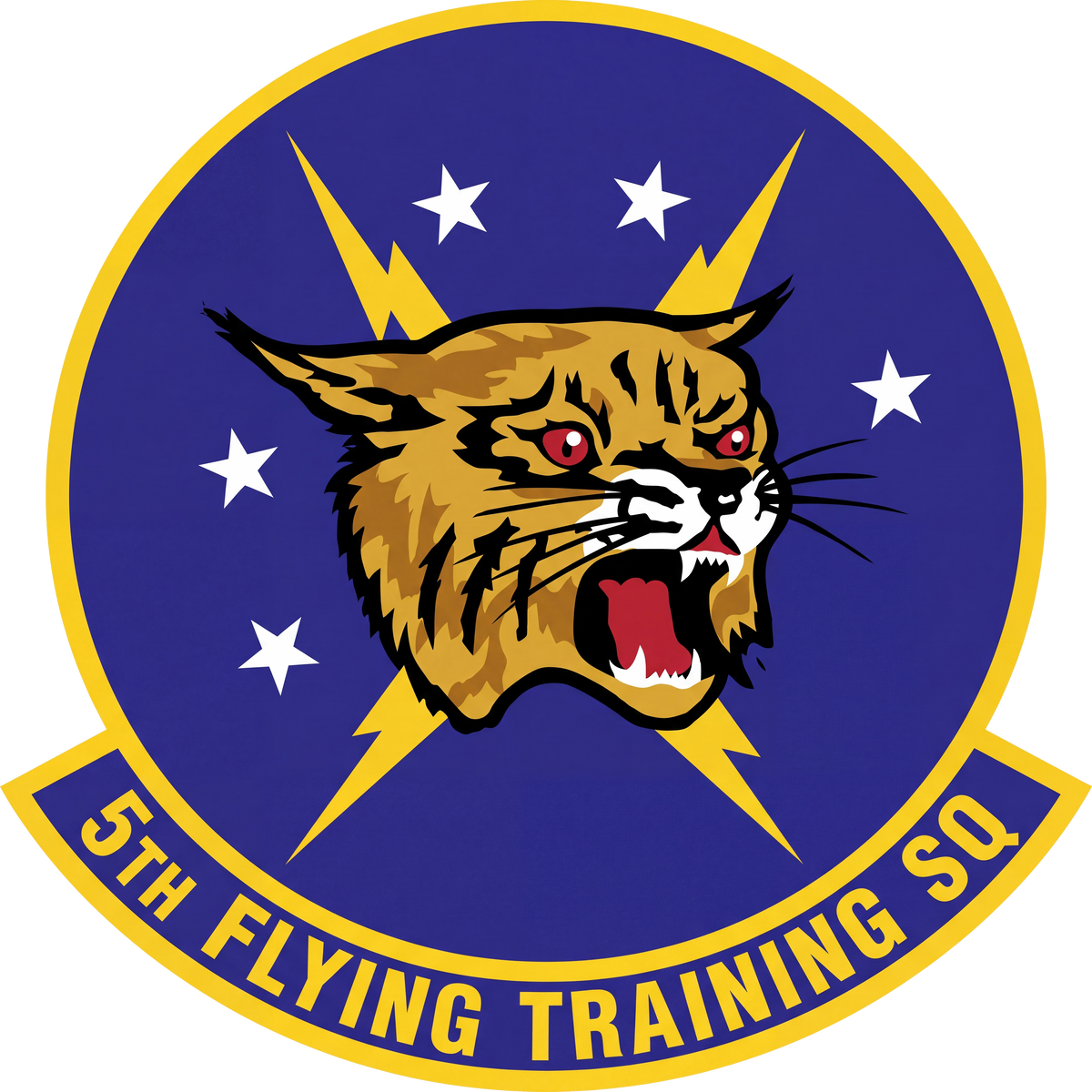 5th Flying Training Squadron