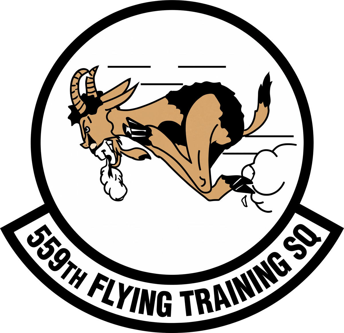 559th Flying Training Squadron
