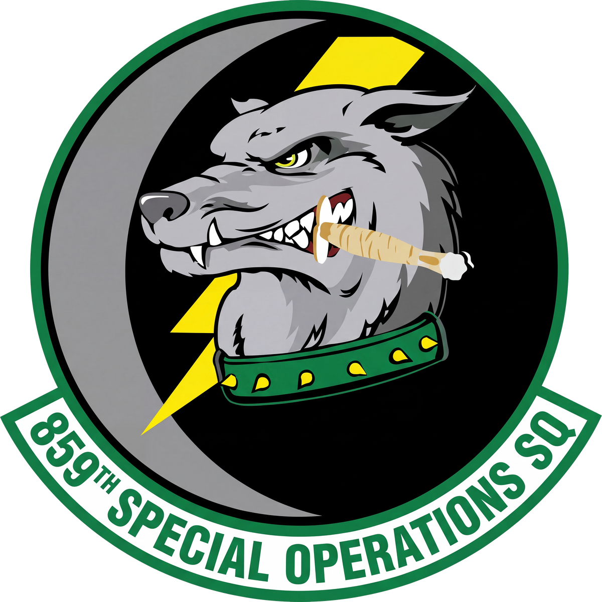 859TH SPECIAL OPERATIONS SQUADRON