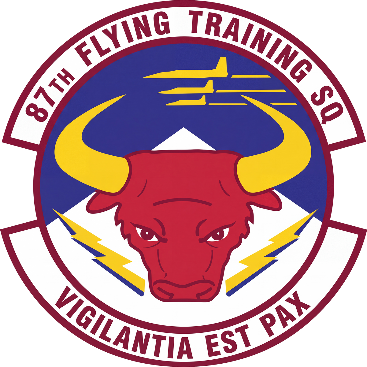 87th Flying Training Squadron