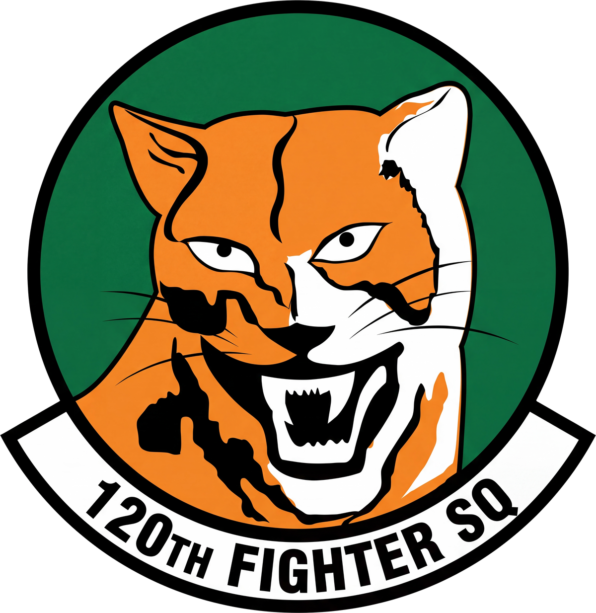 120th Fighter Squadron