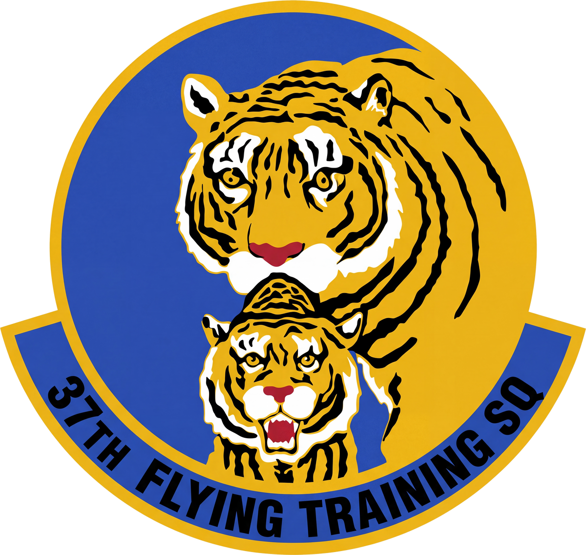 37th Flying Training Squadron