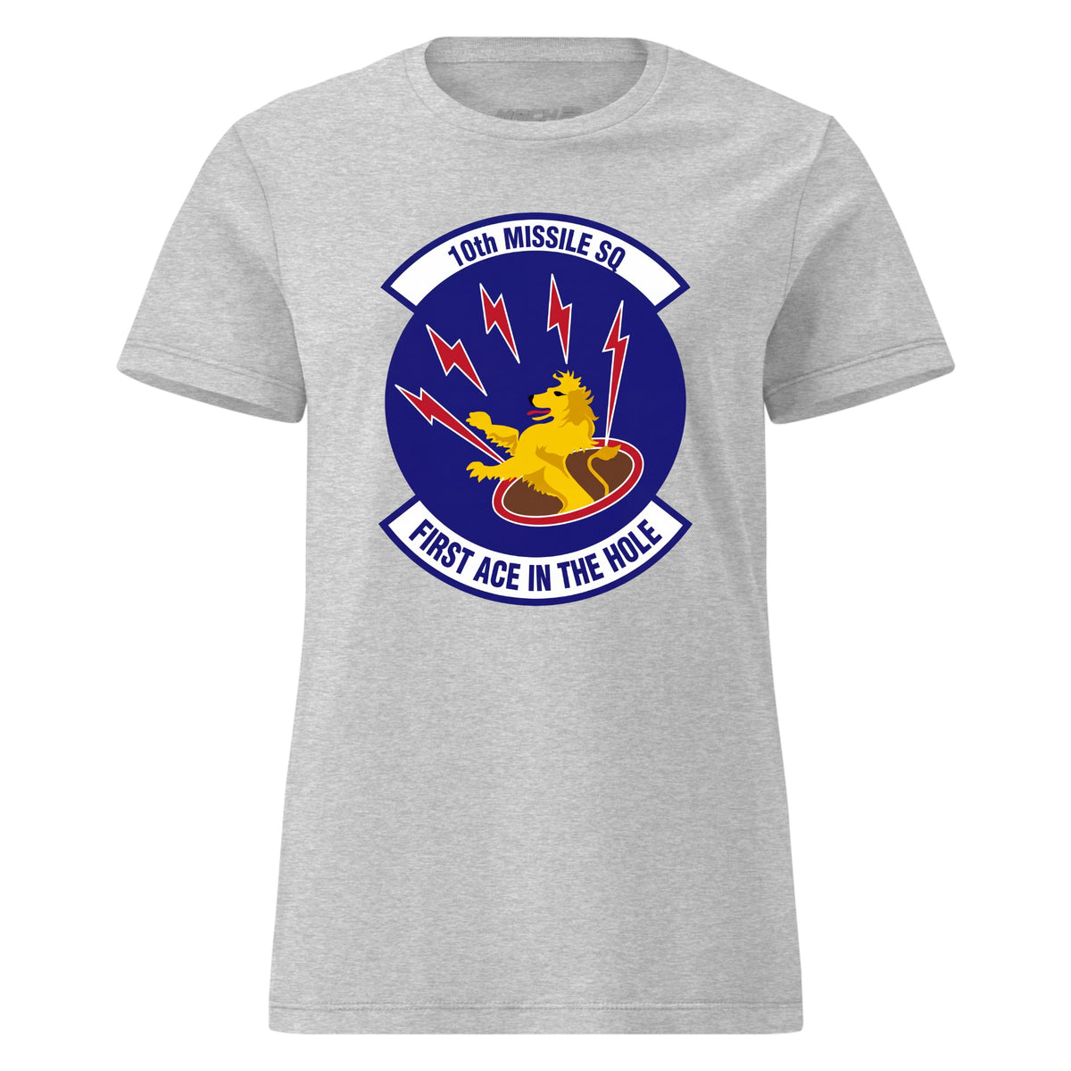 10th Missile Squadron — Heather Grey