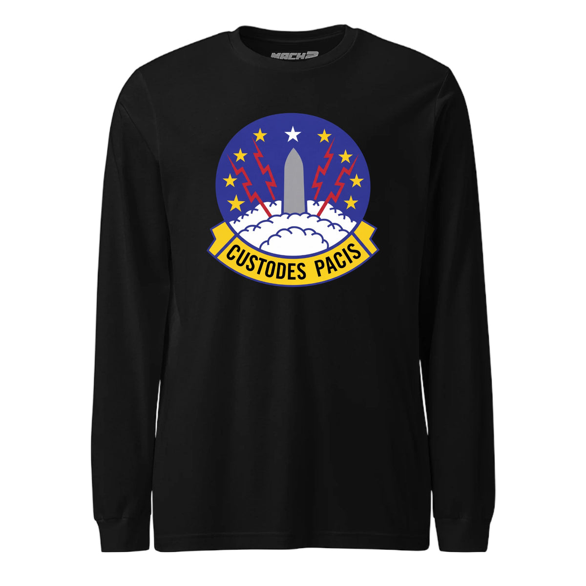 373rd Missile Squadron — Black