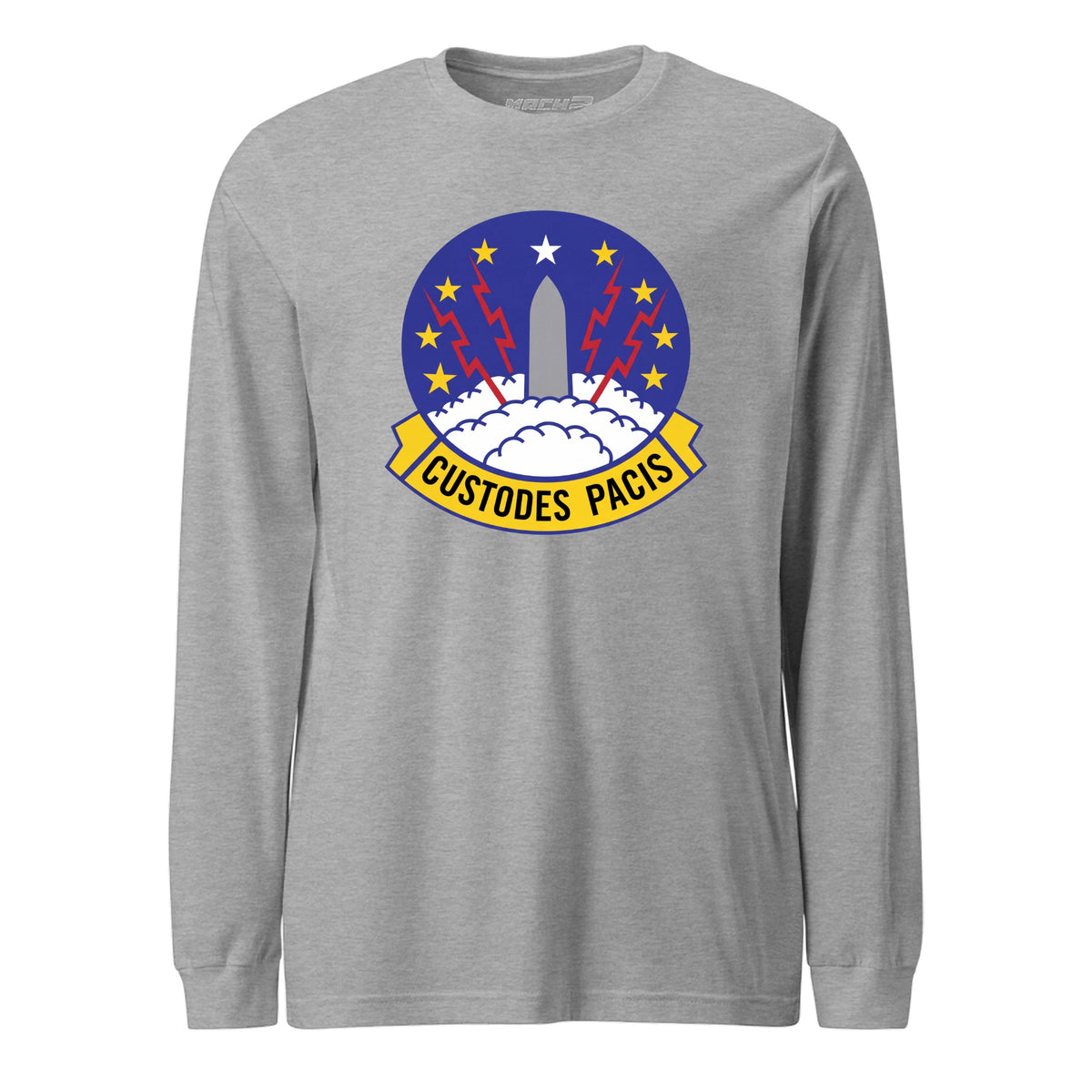 373rd Missile Squadron — Heather Grey