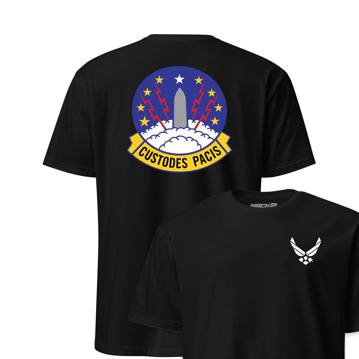 373rd Missile Squadron — Black