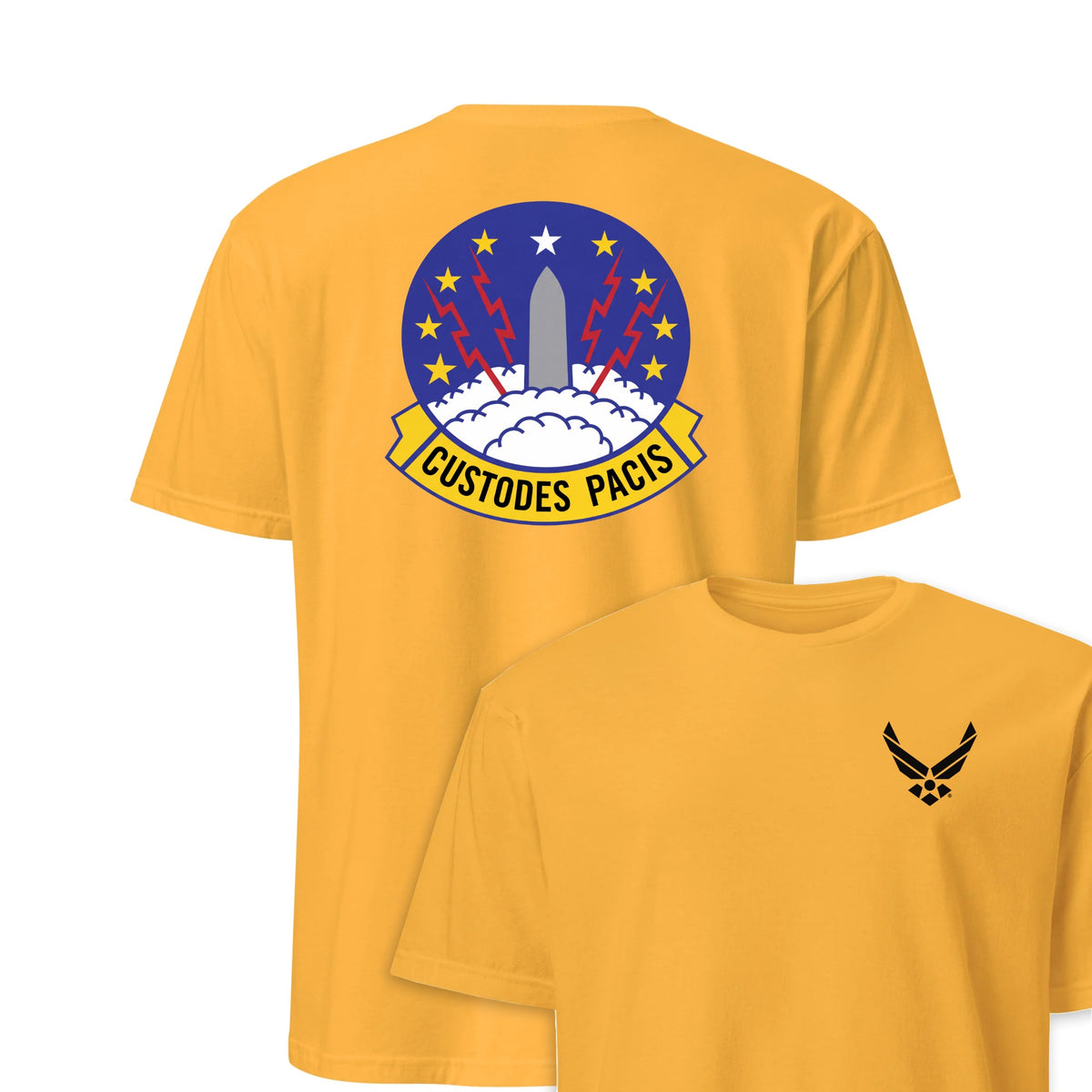 373rd Missile Squadron — Gold
