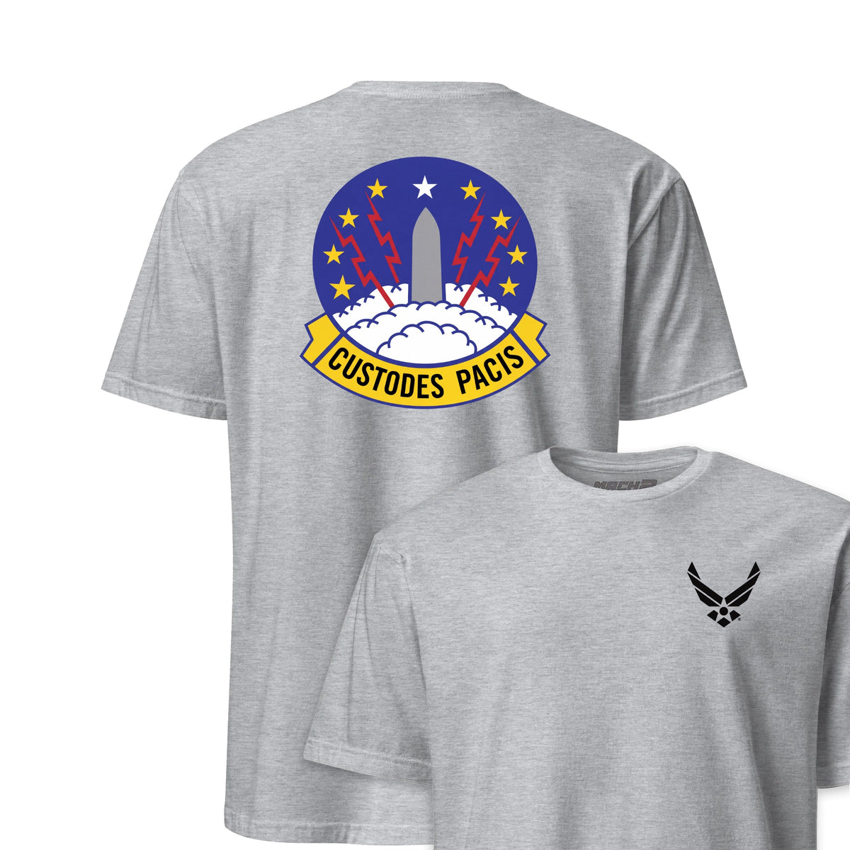 373rd Missile Squadron — Heather Grey