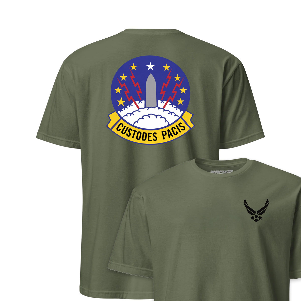 373rd Missile Squadron — OD Green