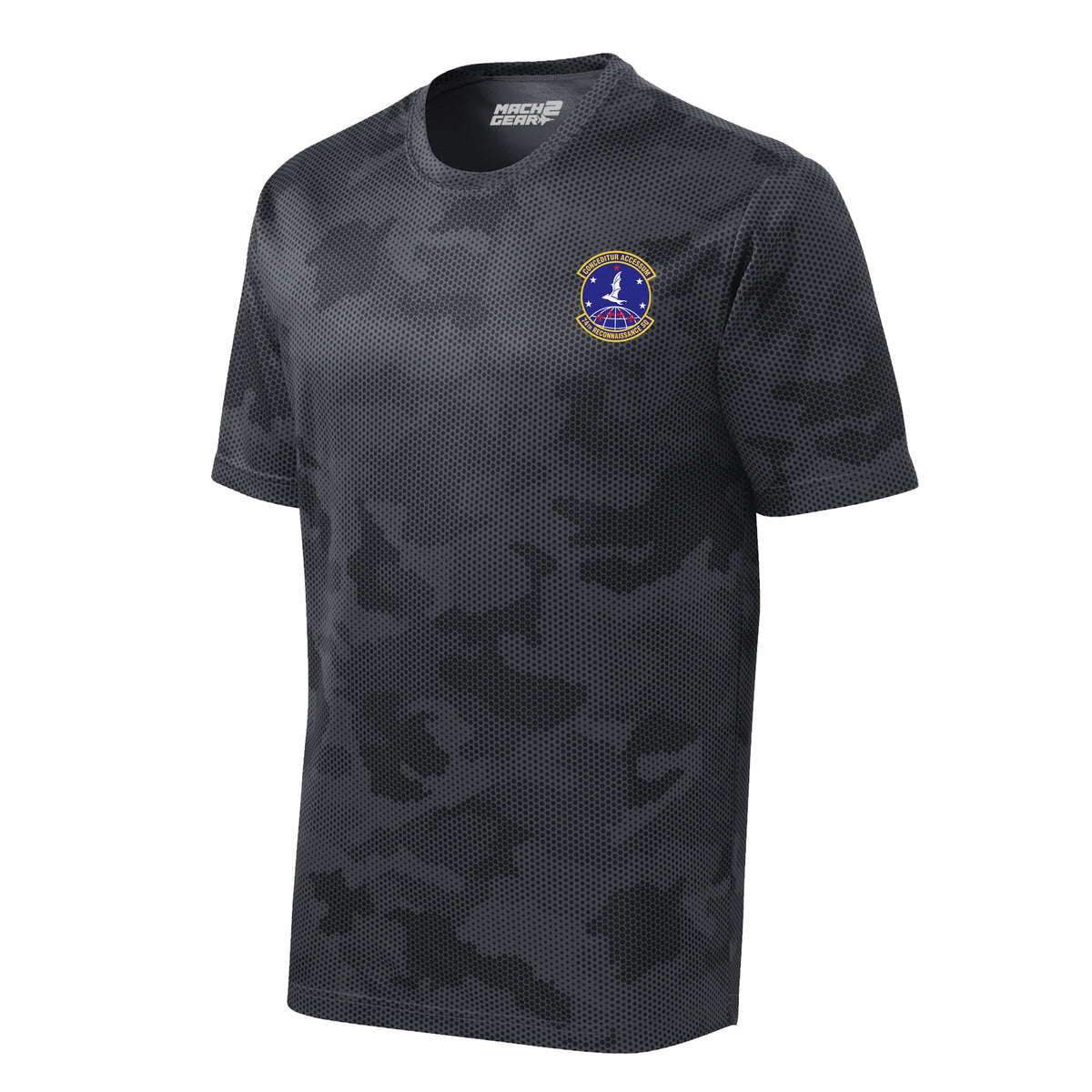 74th Reconnaissance Squadron — Camohex Iron Grey