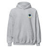 194th Fighter Squadron Perfectweight Hoodie - Heather Grey