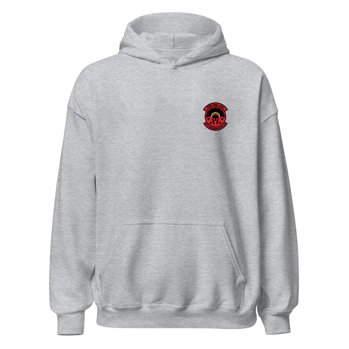 427th Reconnaissance Squadron — Heather Grey
