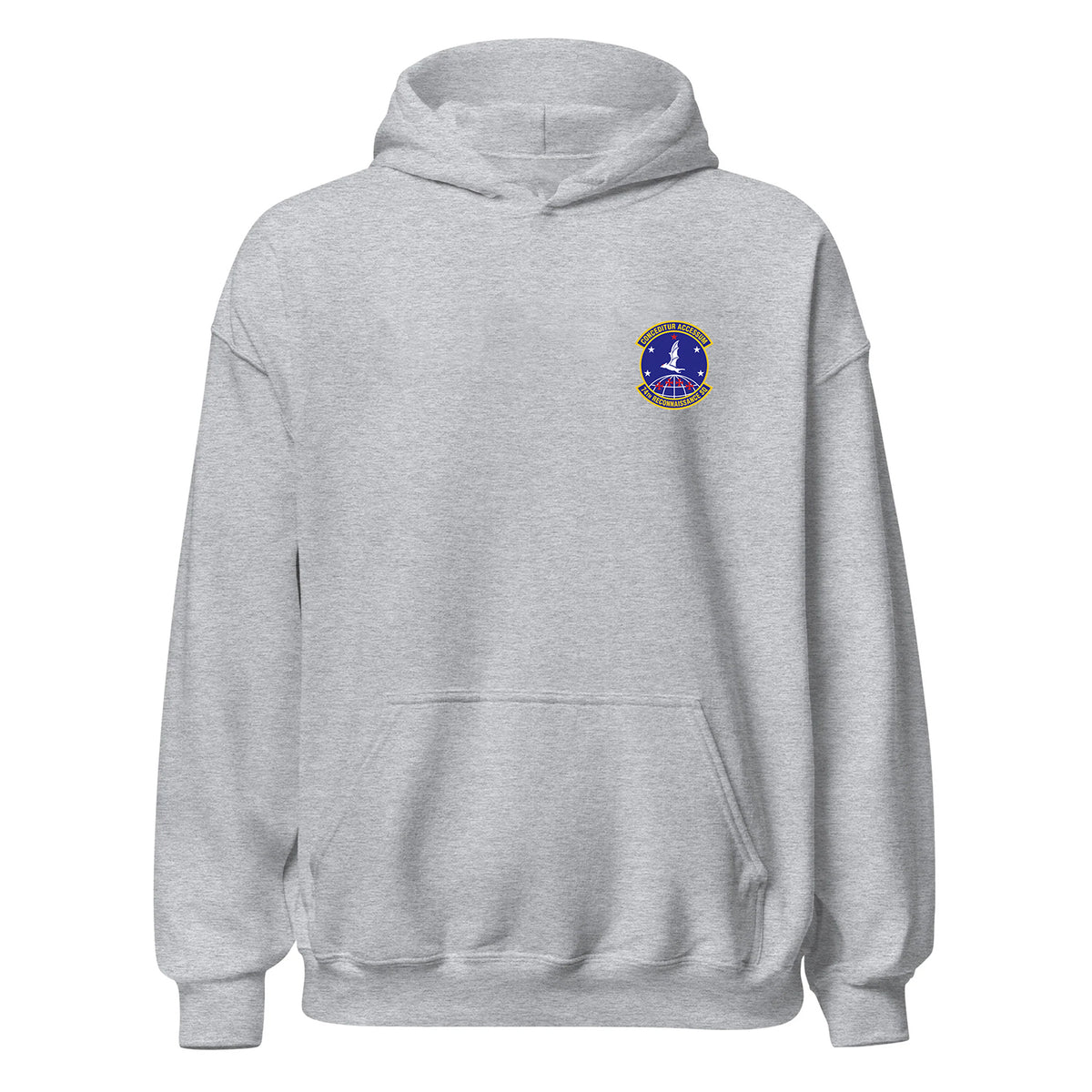 74th Reconnaissance Squadron — Heather Grey