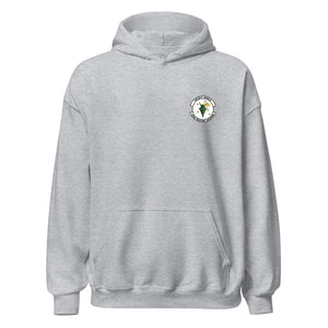 433rd Weapons Squadron — Heather Grey