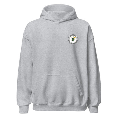 433rd Weapons Squadron — Heather Grey