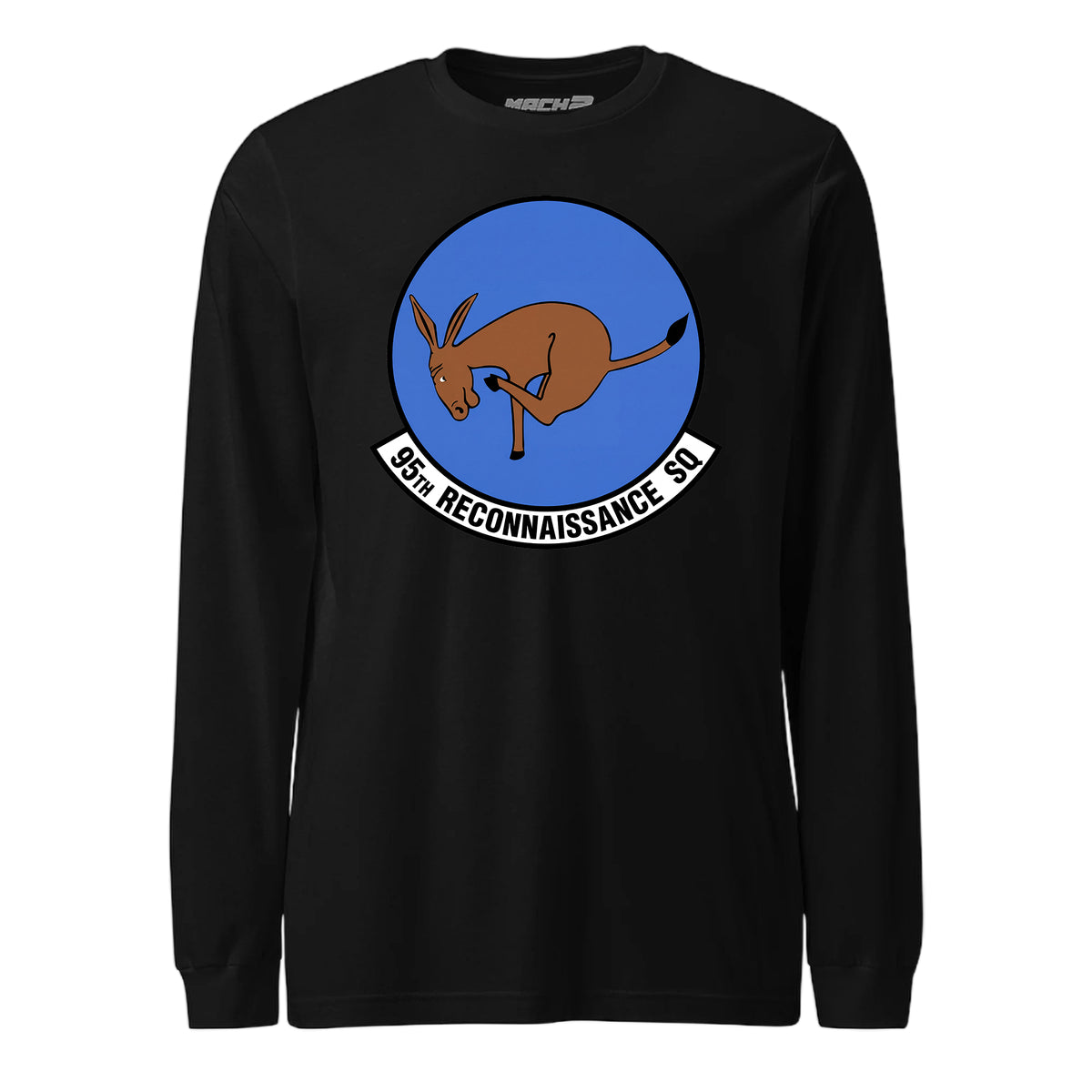 95th Reconnaissance Squadron — Black