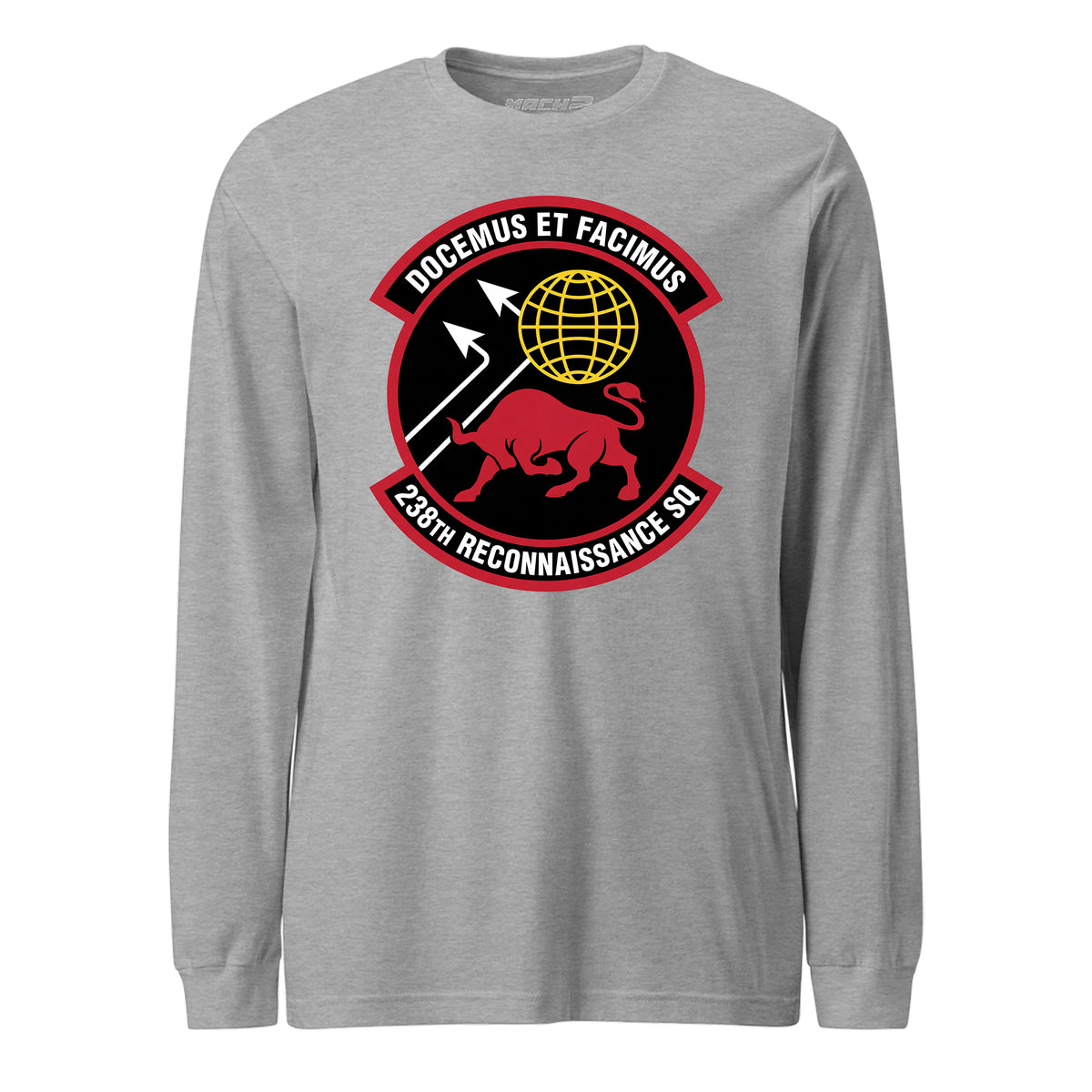 238th Reconnaissance Squadron — Heather Grey