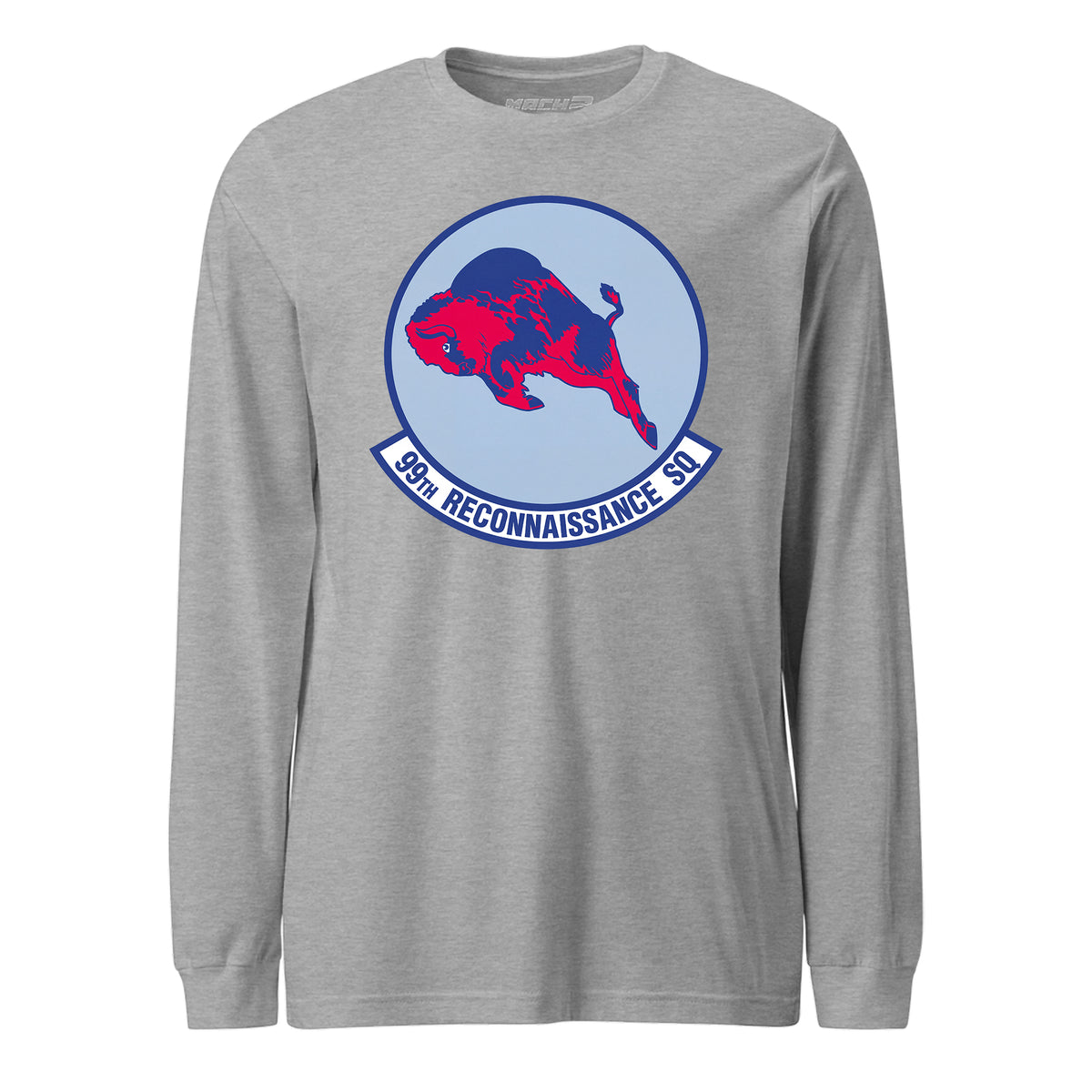 99th Reconnaissance Squadron — Heather Grey