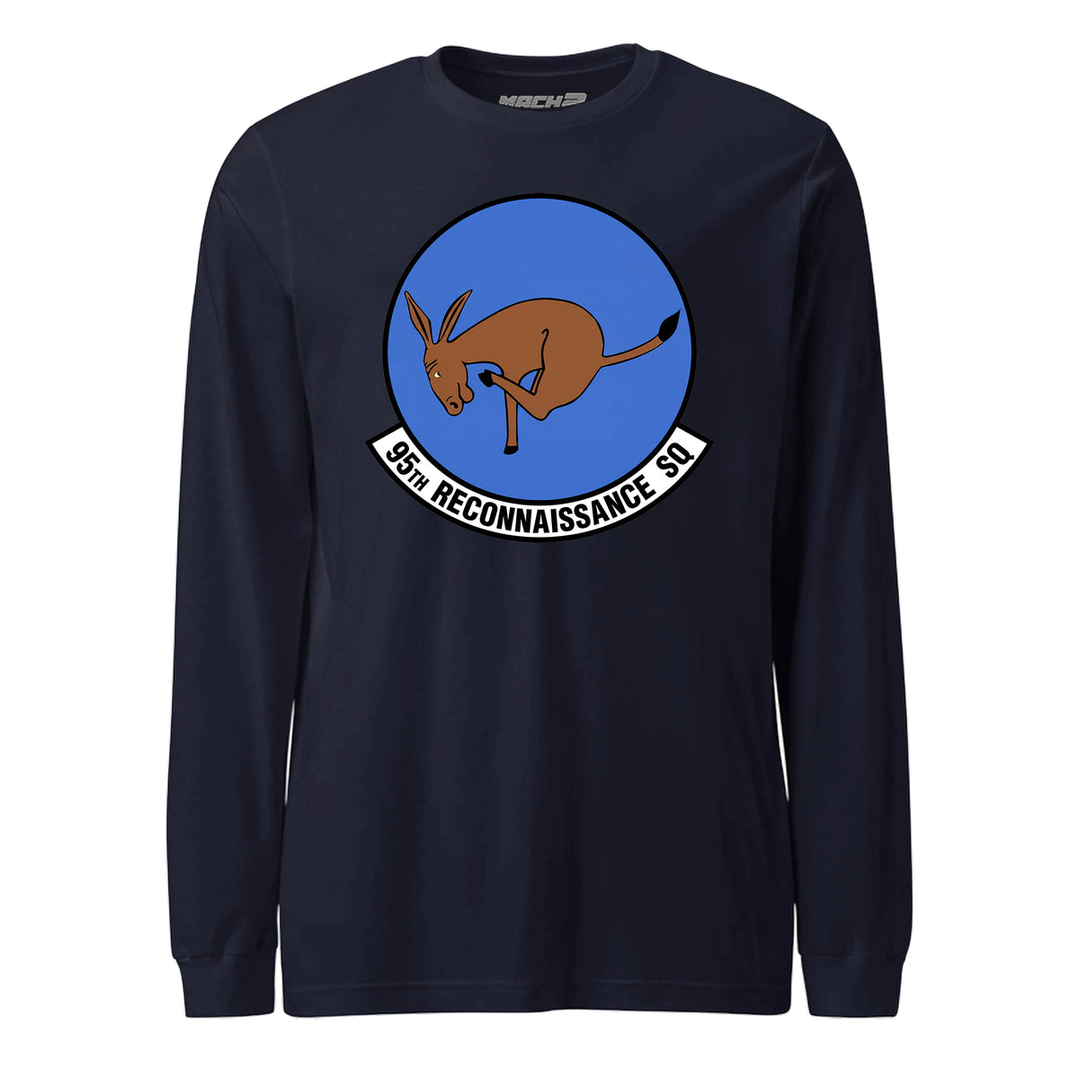 95th Reconnaissance Squadron — Navy