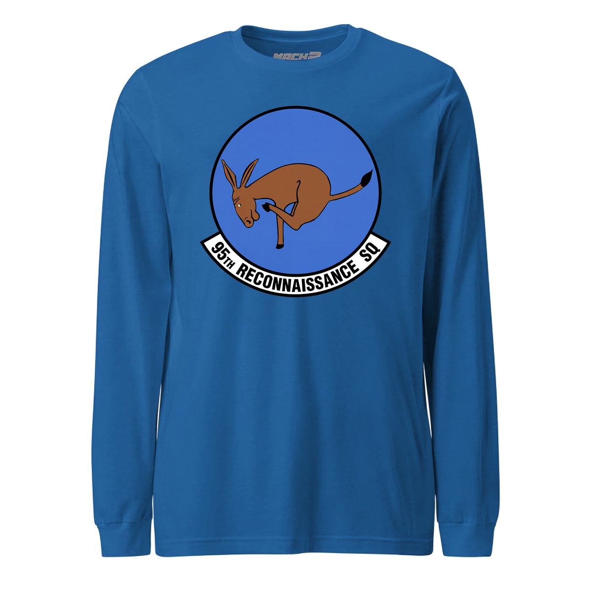 95th Reconnaissance Squadron — Royal