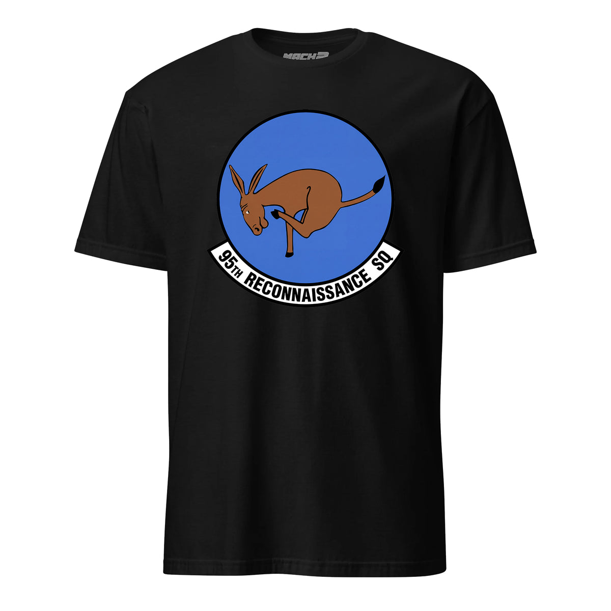 95th Reconnaissance Squadron — Black