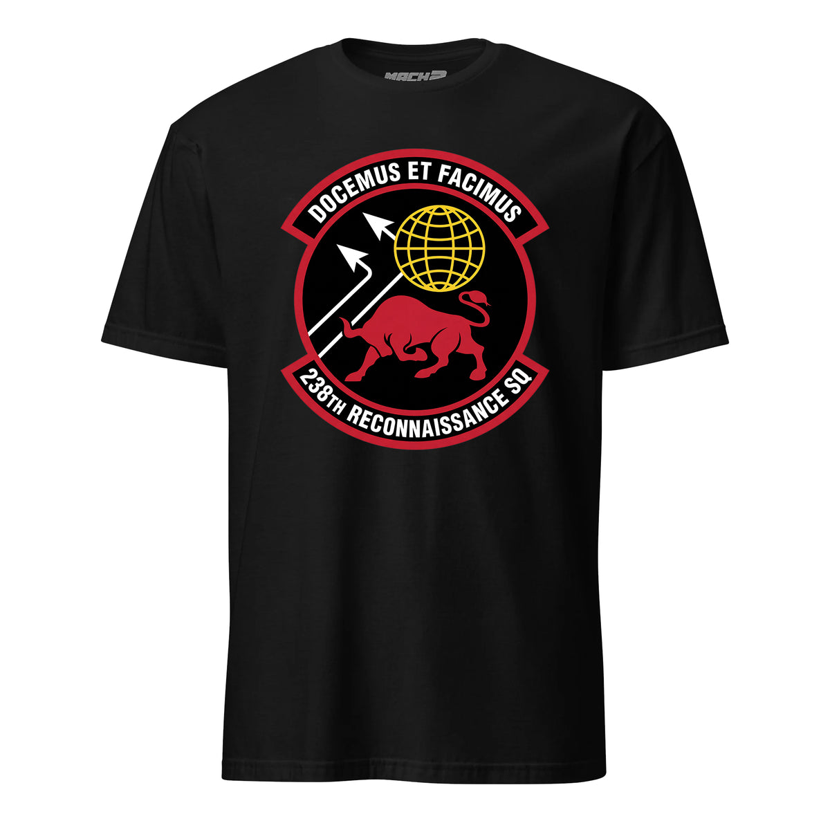 238th Reconnaissance Squadron — Black
