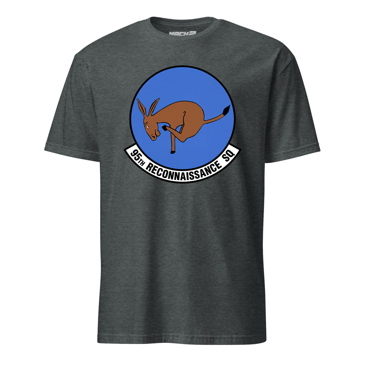 95th Reconnaissance Squadron — Charcoal Heather