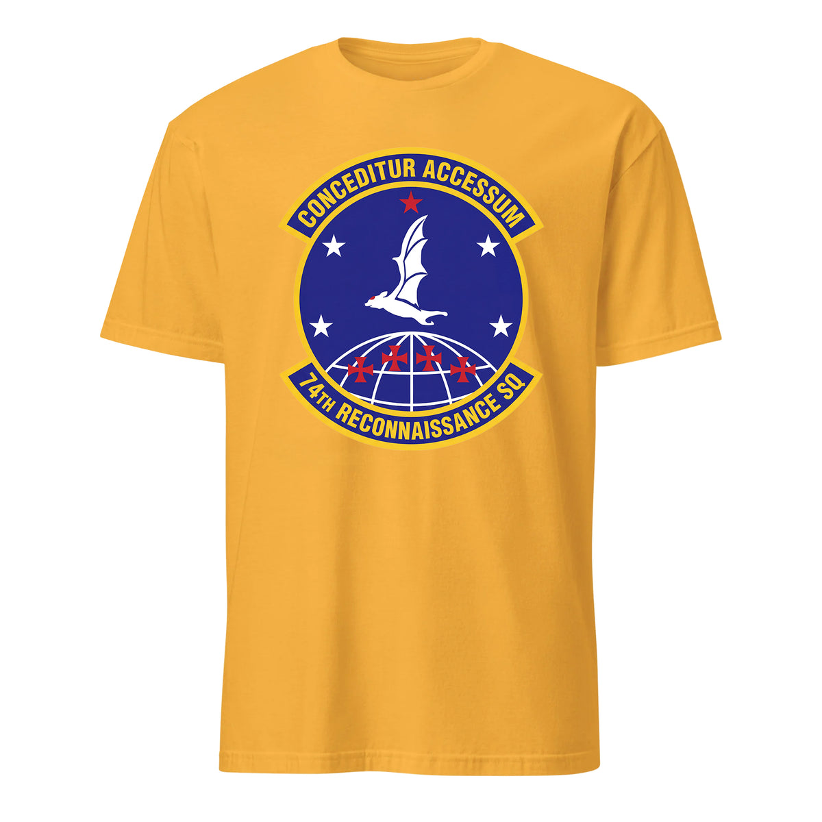 74th Reconnaissance Squadron — Gold