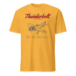 F-47d Thunderbolt Blueprint — Gold