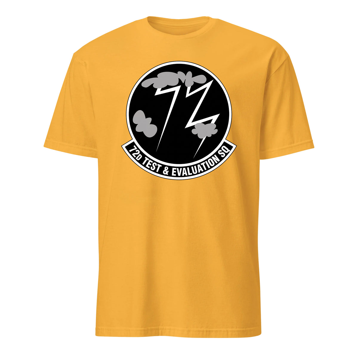 72nd Test And Evaluation Squadron — Gold