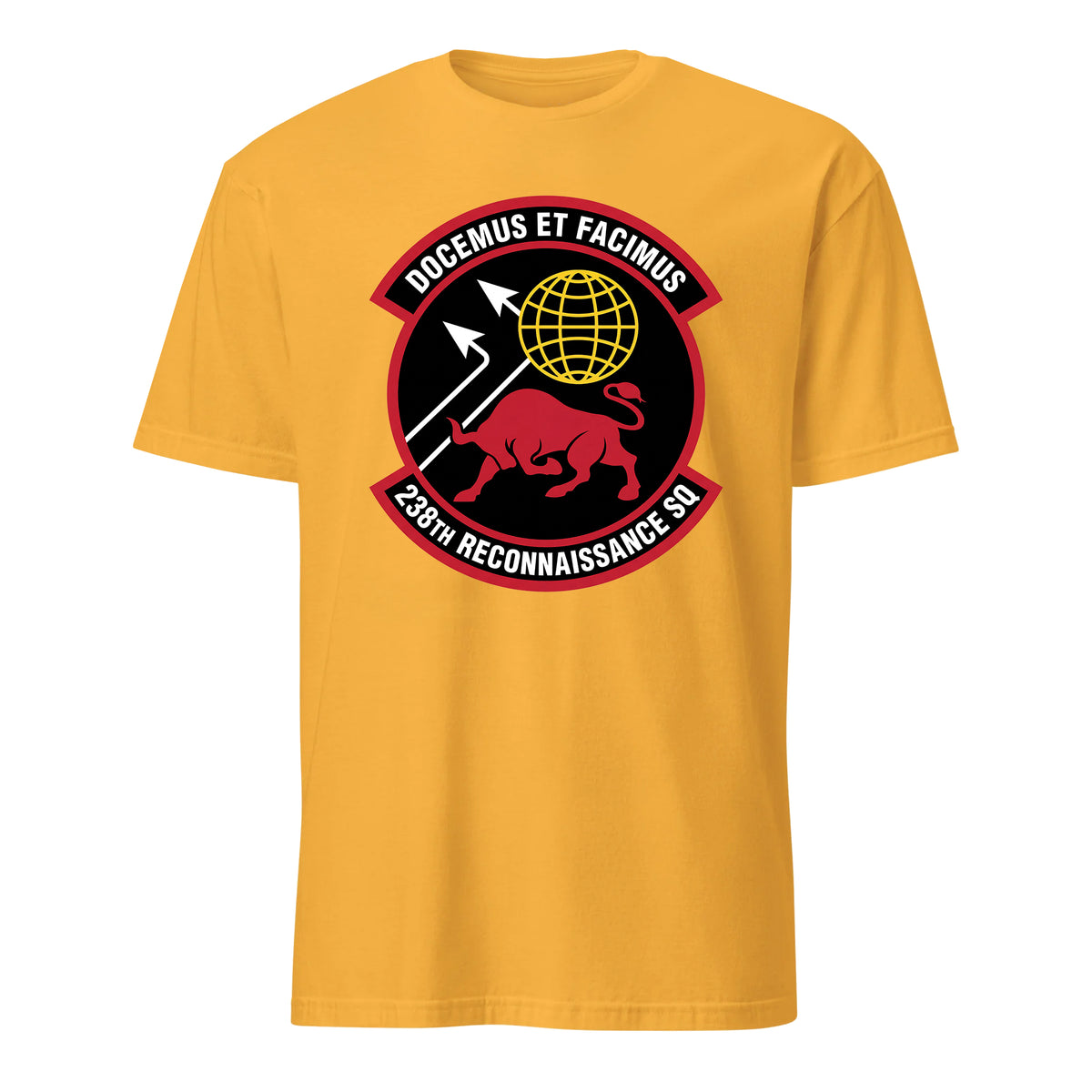 238th Reconnaissance Squadron — Gold