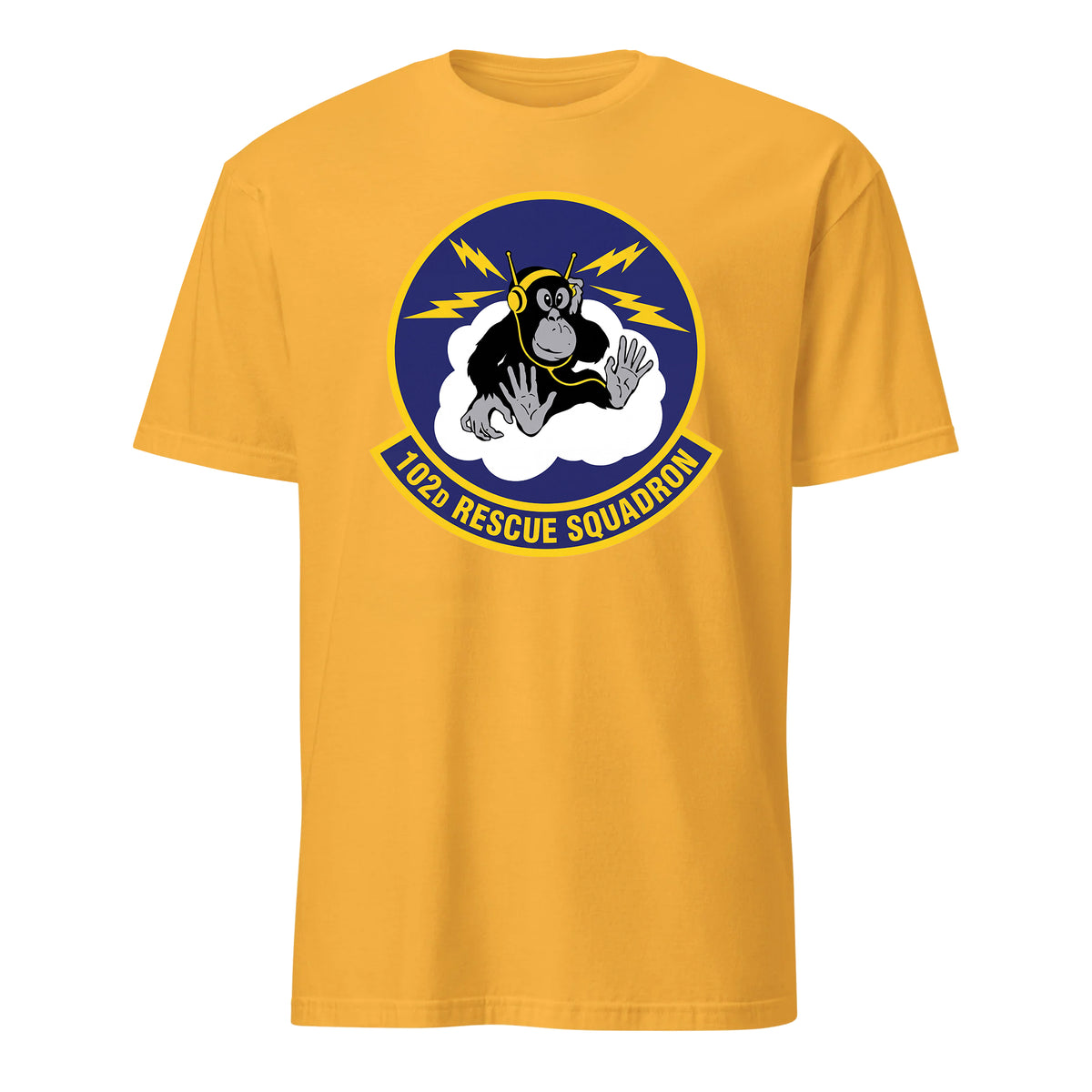 102nd Rescue Squadron — Gold