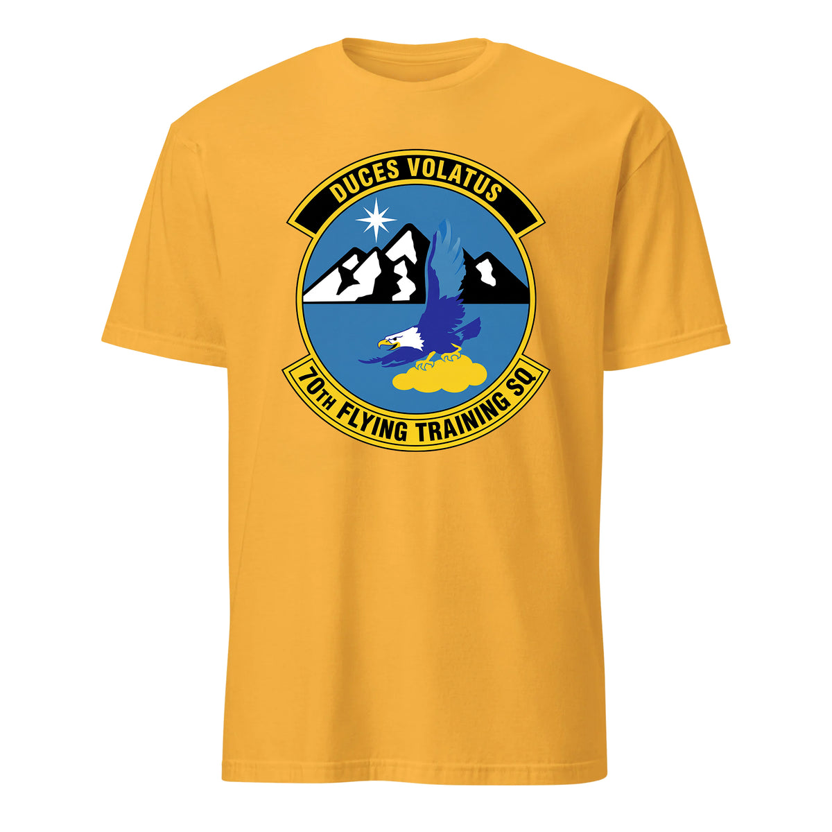 70th Flying Training Squadron — Gold