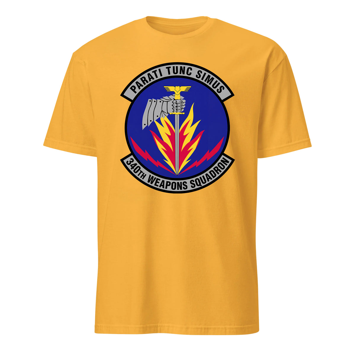 340th Weapons Squadron — Gold