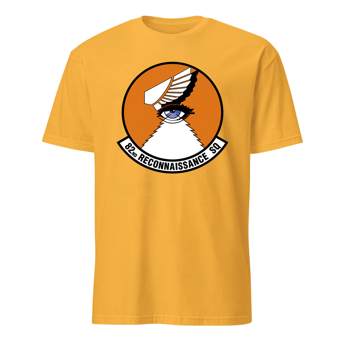 82nd Reconnaissance Squadron — Gold