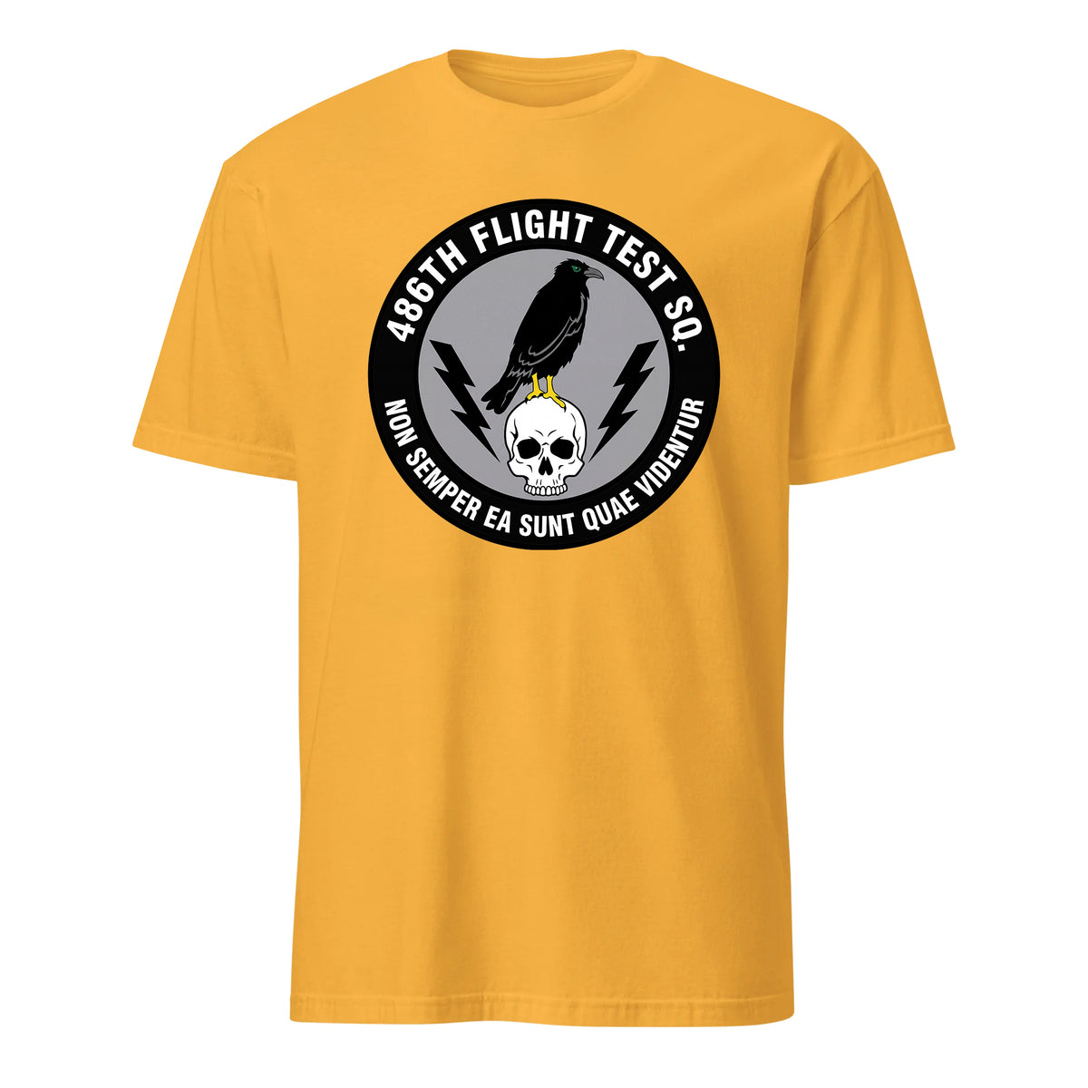 486th Flight Test Squadron — Gold