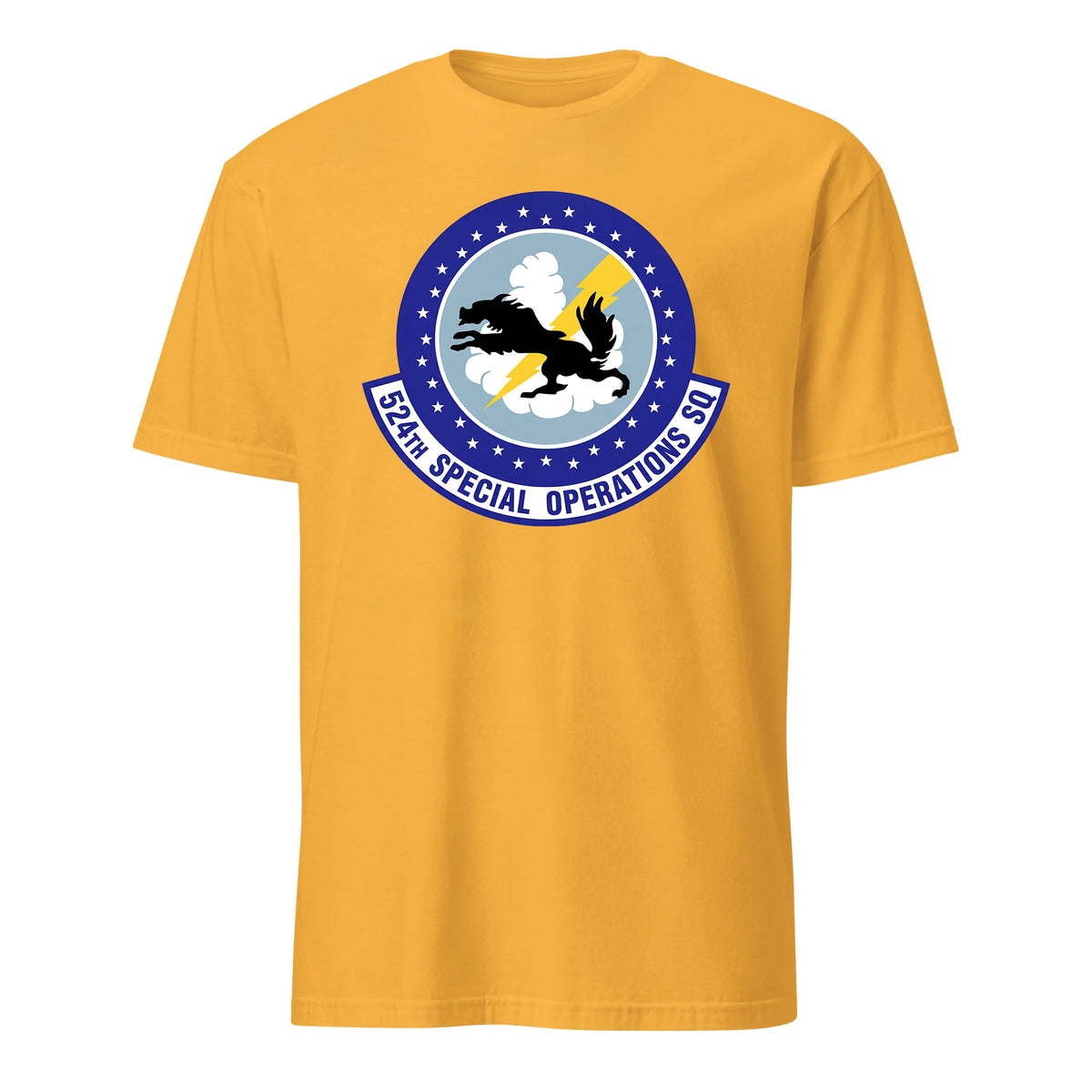 524th Special Operations Squadron — Gold