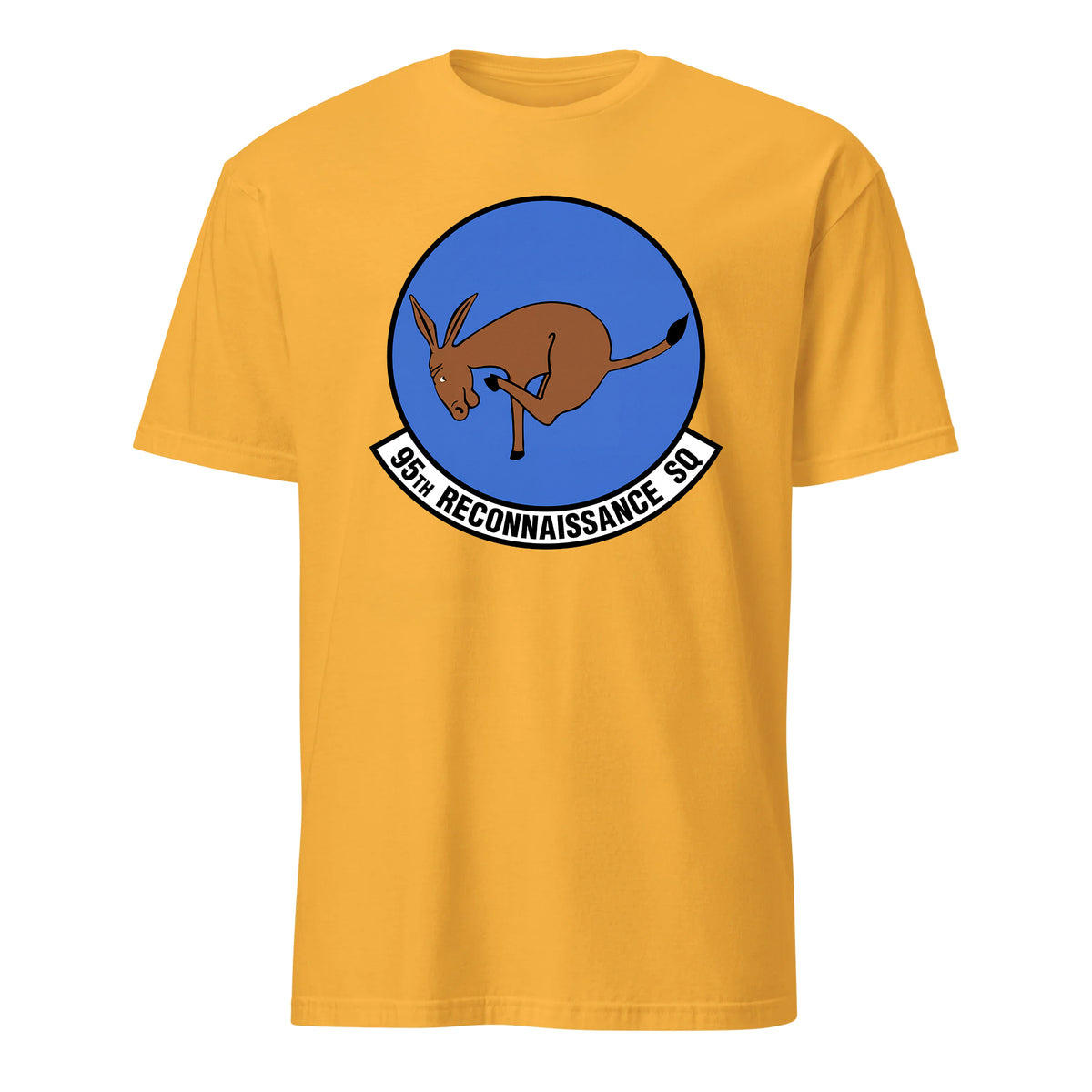 95th Reconnaissance Squadron — Gold