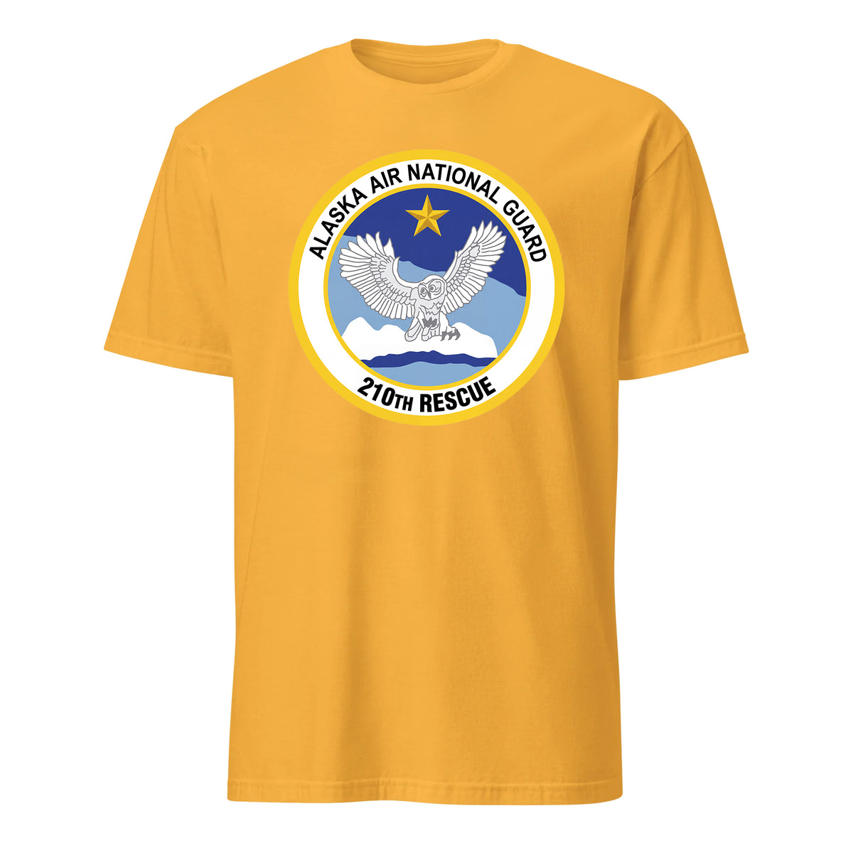 210th Rescue Squadron — Gold