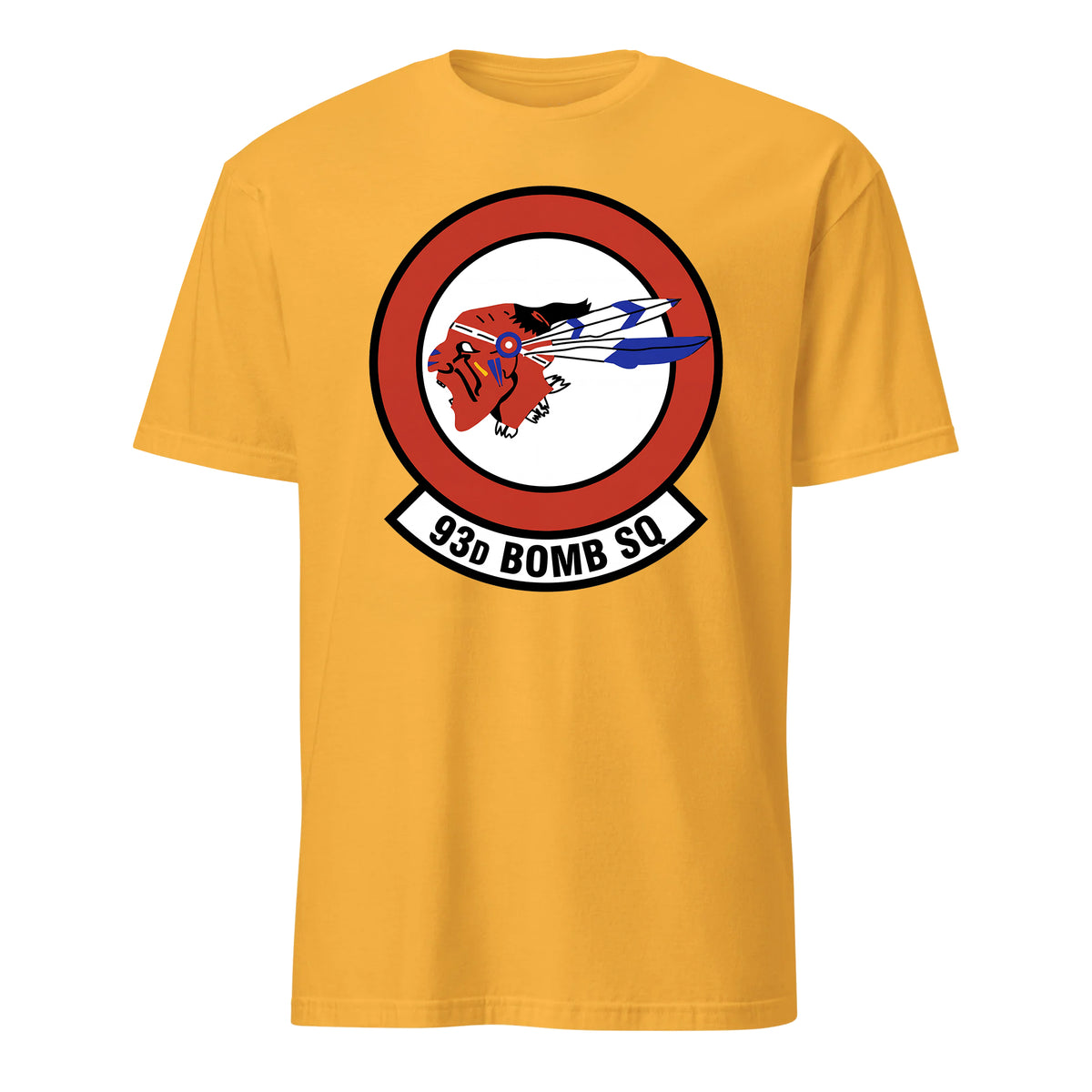 93rd Bomb Squadron — Gold