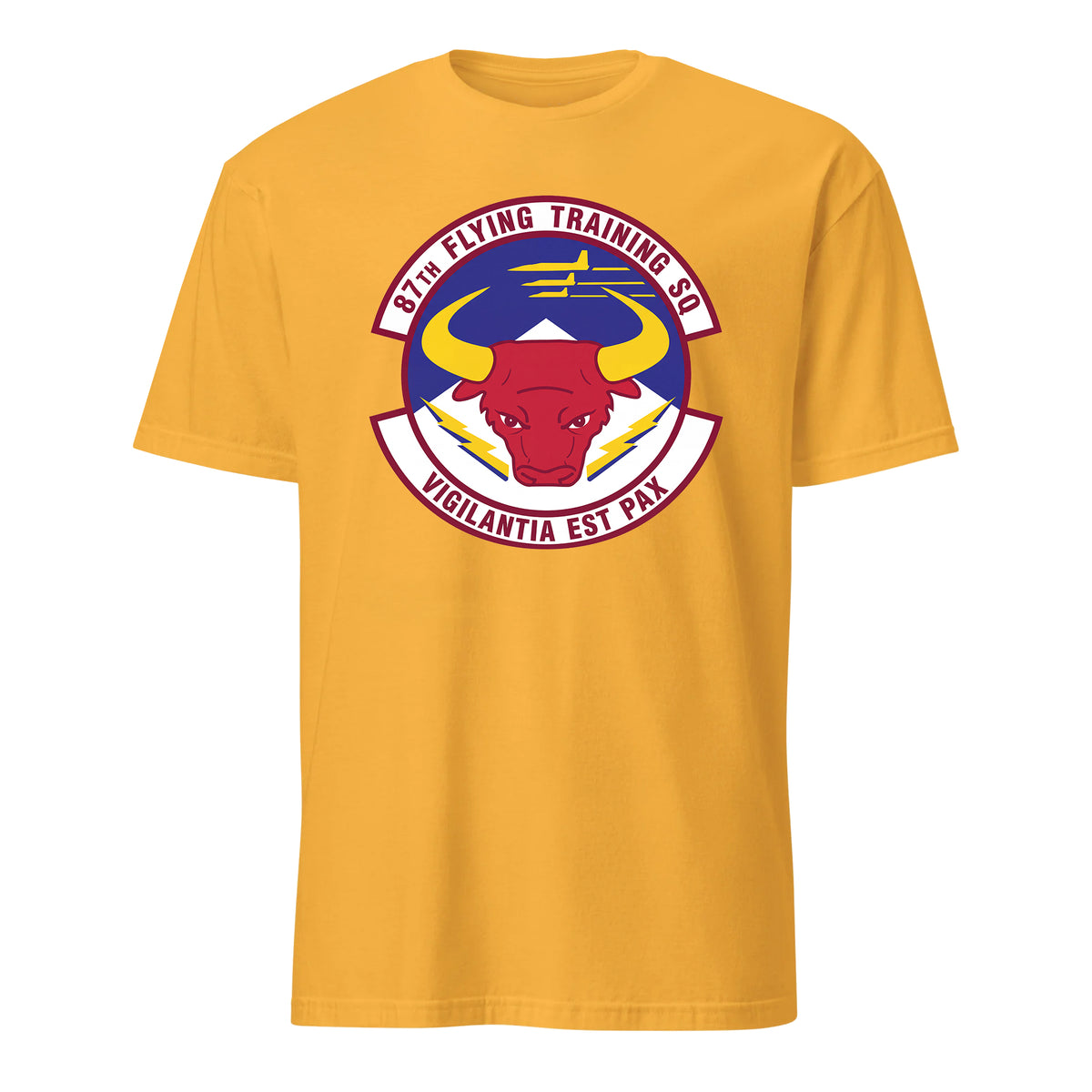 87th Flying Training Squadron — Gold