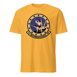 1st Reconnaissance Squadron — Gold
