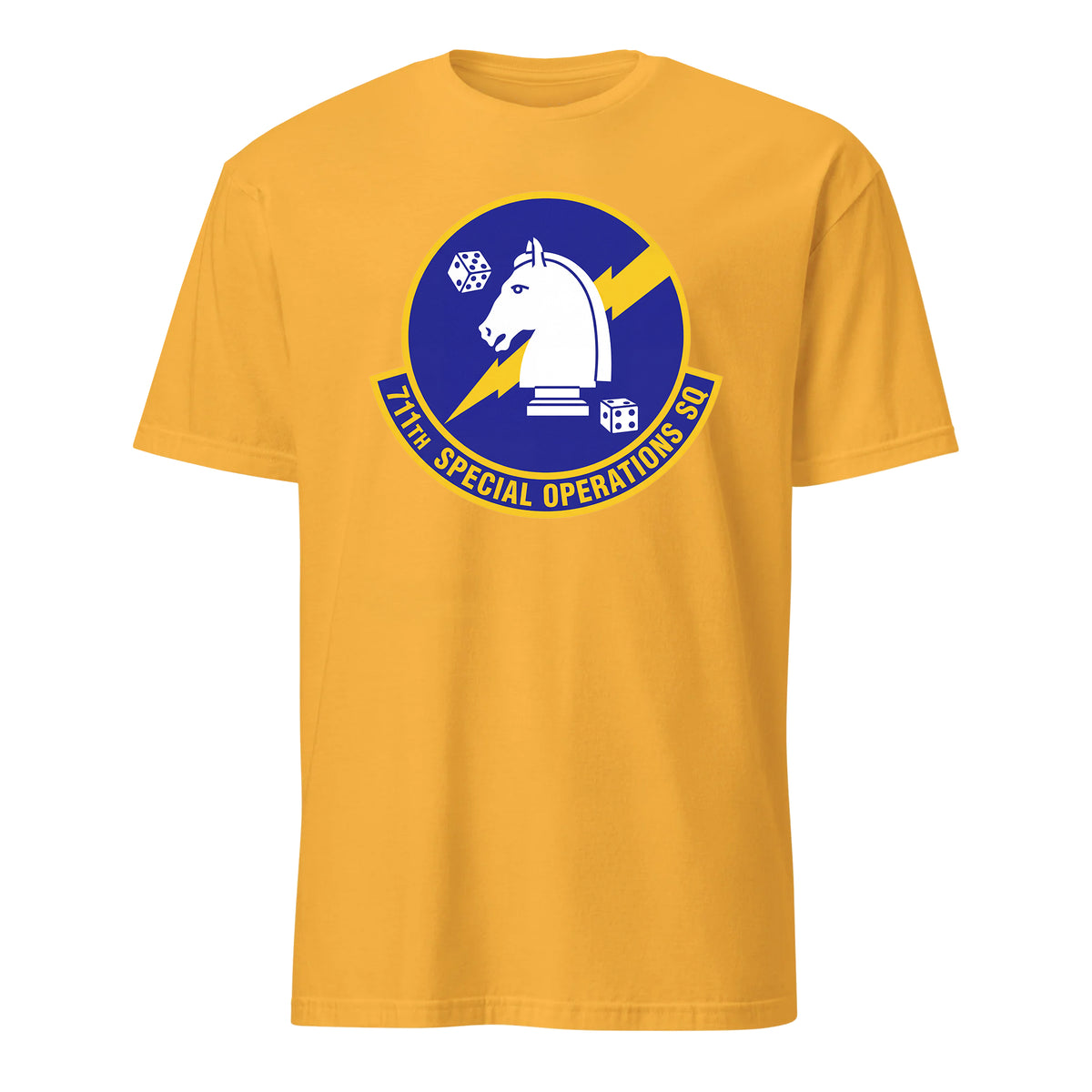 711th Special Operations Squadron — Gold