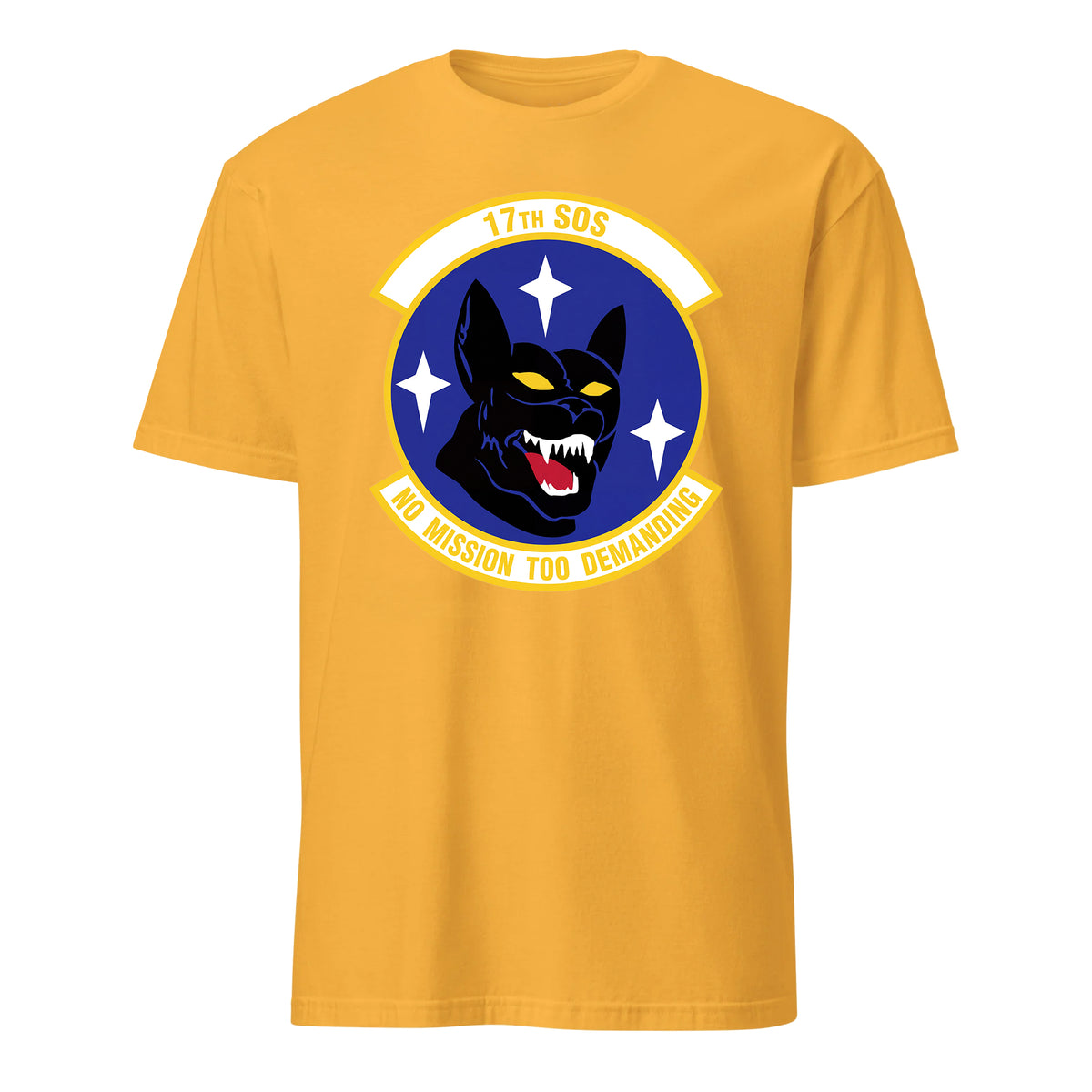 17th Special Operations Squadron — Gold