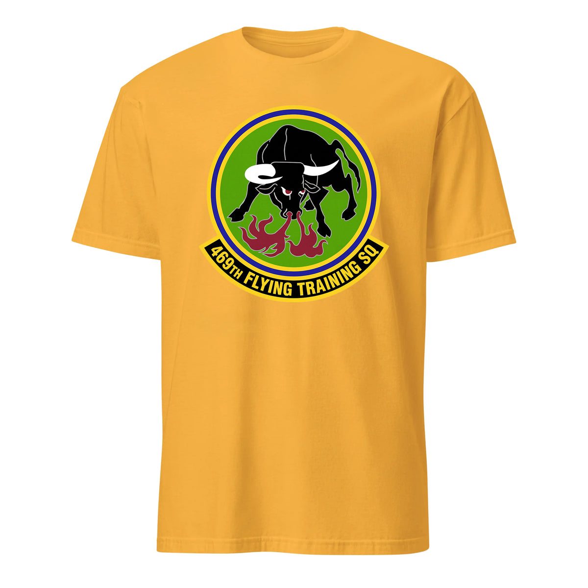 469th Flying Training Squadron — Gold