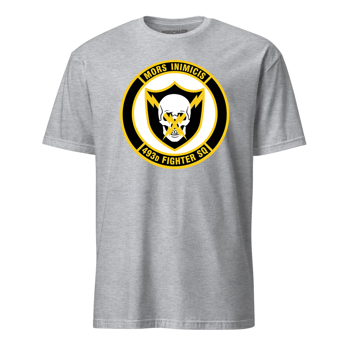 493rd Fighter Squadron — Heather Grey