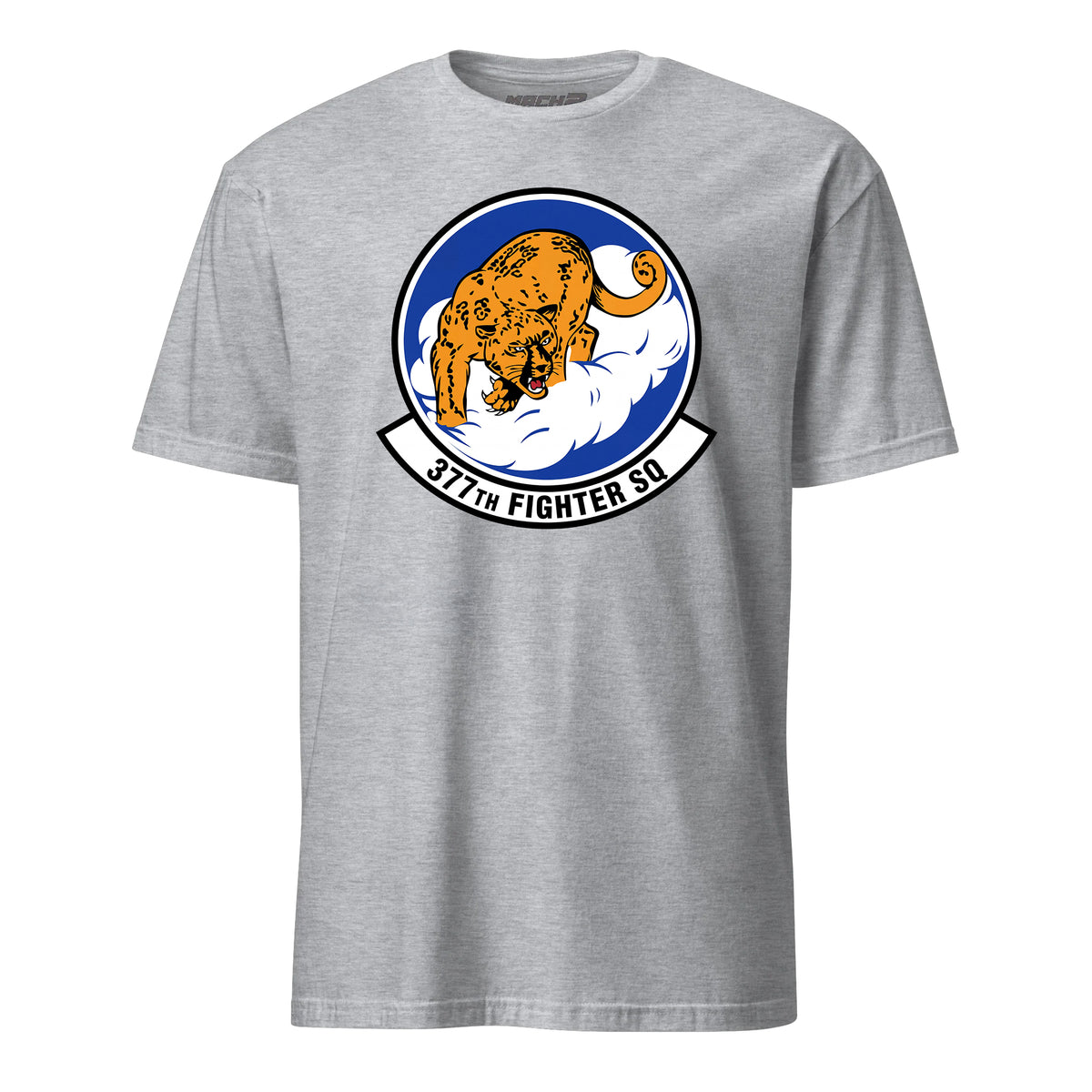 377th Fighter Squadron — Heather Grey