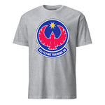 43rd Flying Training Squadron — Heather Grey